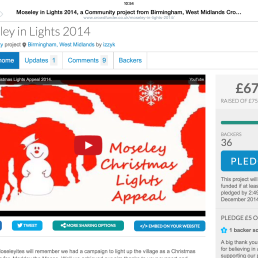 Crowdfunder Moseley in Lights 2014